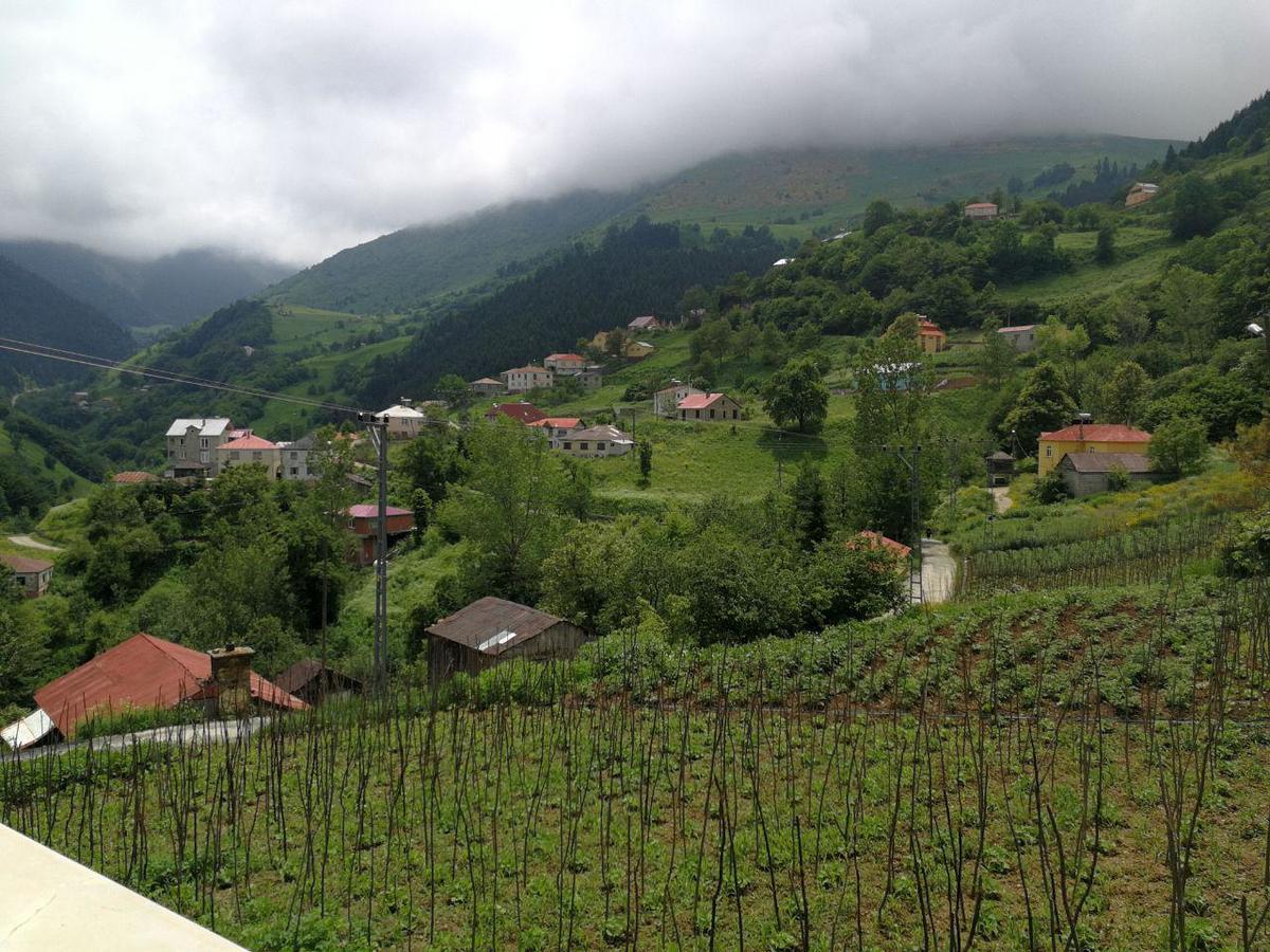 Hamsikoy Hotel Екстериор снимка